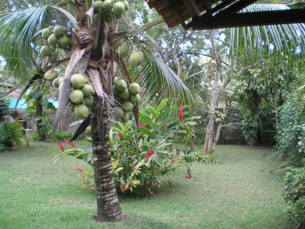 Casa Da Duda Villa ปอร์โตเซกูโร ห้อง รูปภาพ